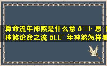 算命流年神煞是什么意 🌷 思（神煞论命之流 🐯 年神煞怎样看）